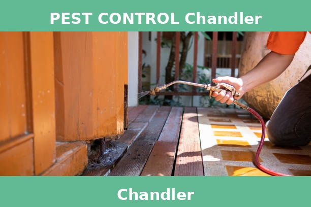 PEST CONTROL Chandler